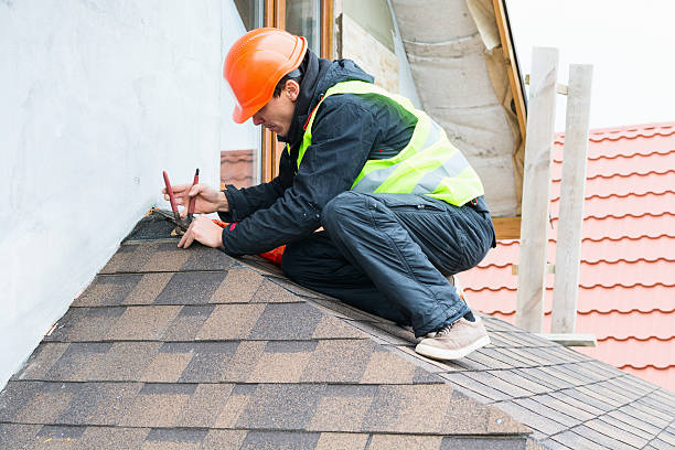 Best Sealant for Roof  in Crosby, ND